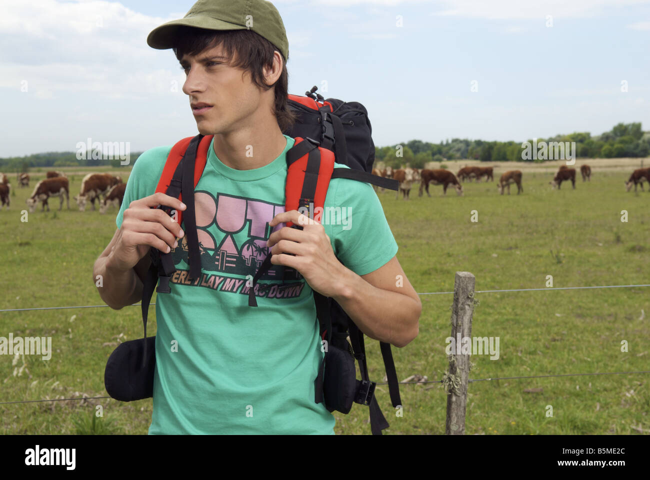 Un maschio backpacker in un pascolo del bestiame Foto Stock