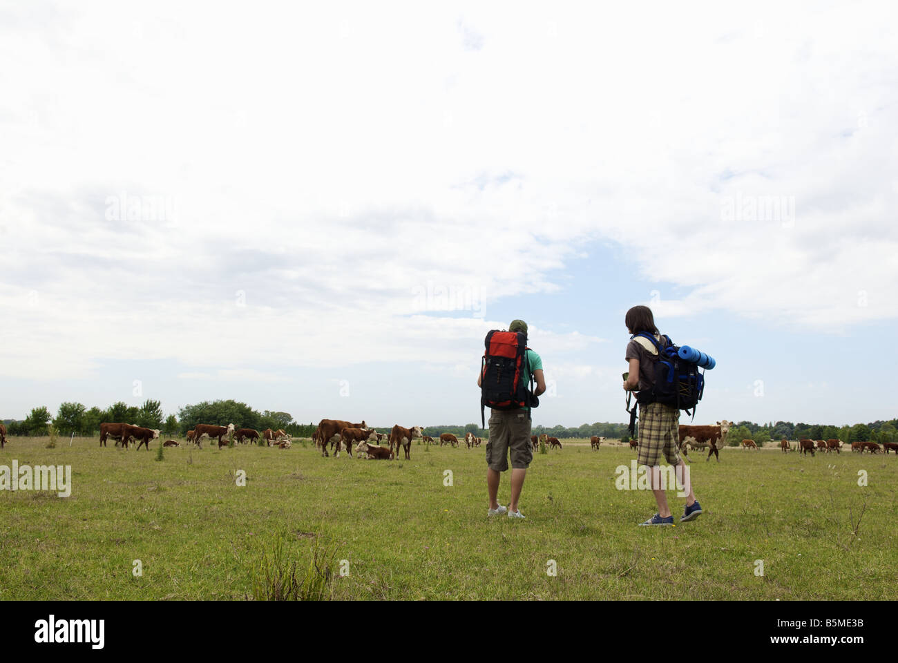 Due maschio backpackers in un pascolo del bestiame Foto Stock