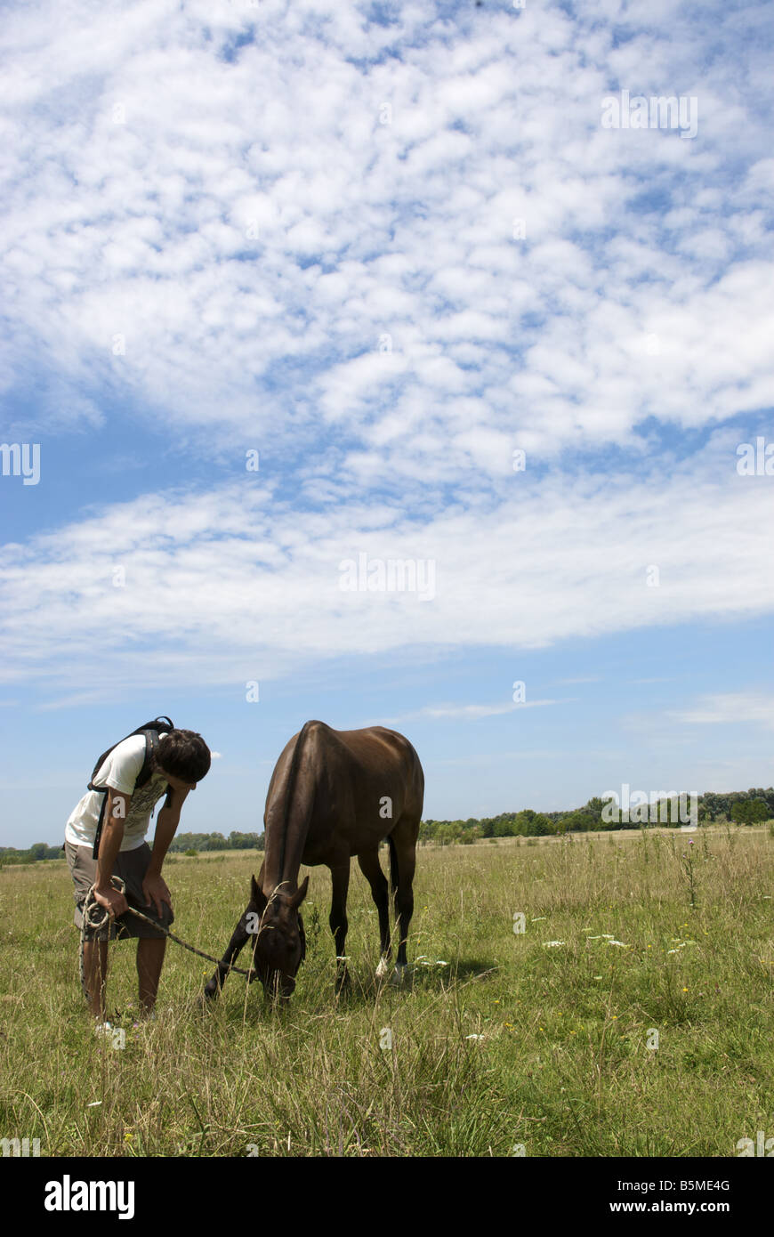 Un giovane uomo in un pascolo con un cavallo Foto Stock