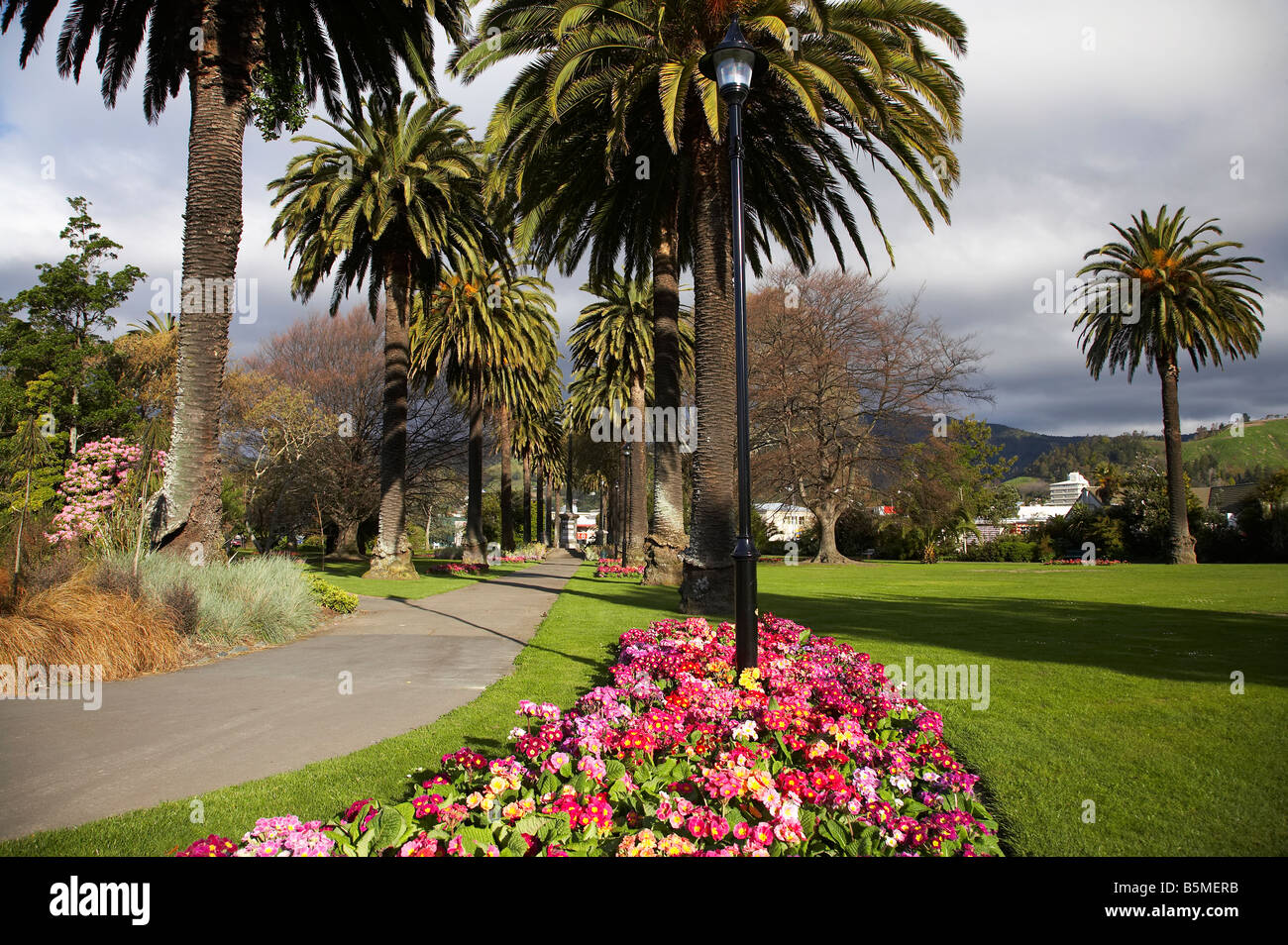 Fiori e palme Piazza Anzac Nelson Isola del Sud della Nuova Zelanda Foto Stock