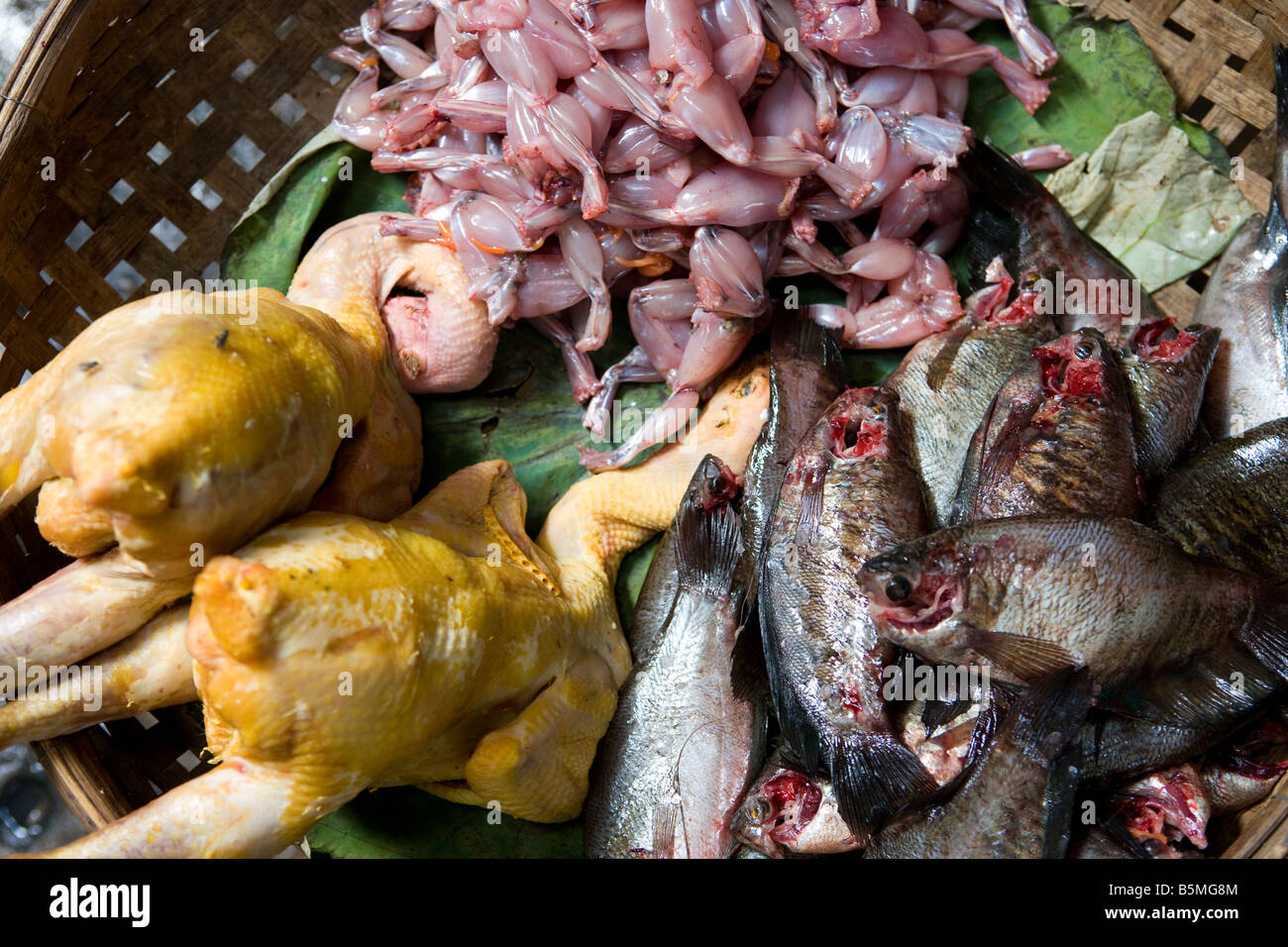 Un paniere misto di pollo rane e pesce per la vendita nel mercato centrale di Phnom Penh Cambogia Foto Stock