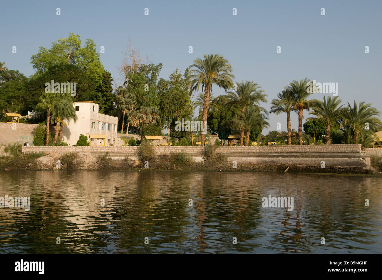 Vista del Aswan Giardino Botanico Situato in El Nabatat o isola Kitchener dell isola di uno dei due grandi isole sul Nilo in prossimità di Aswan Egitto Foto Stock