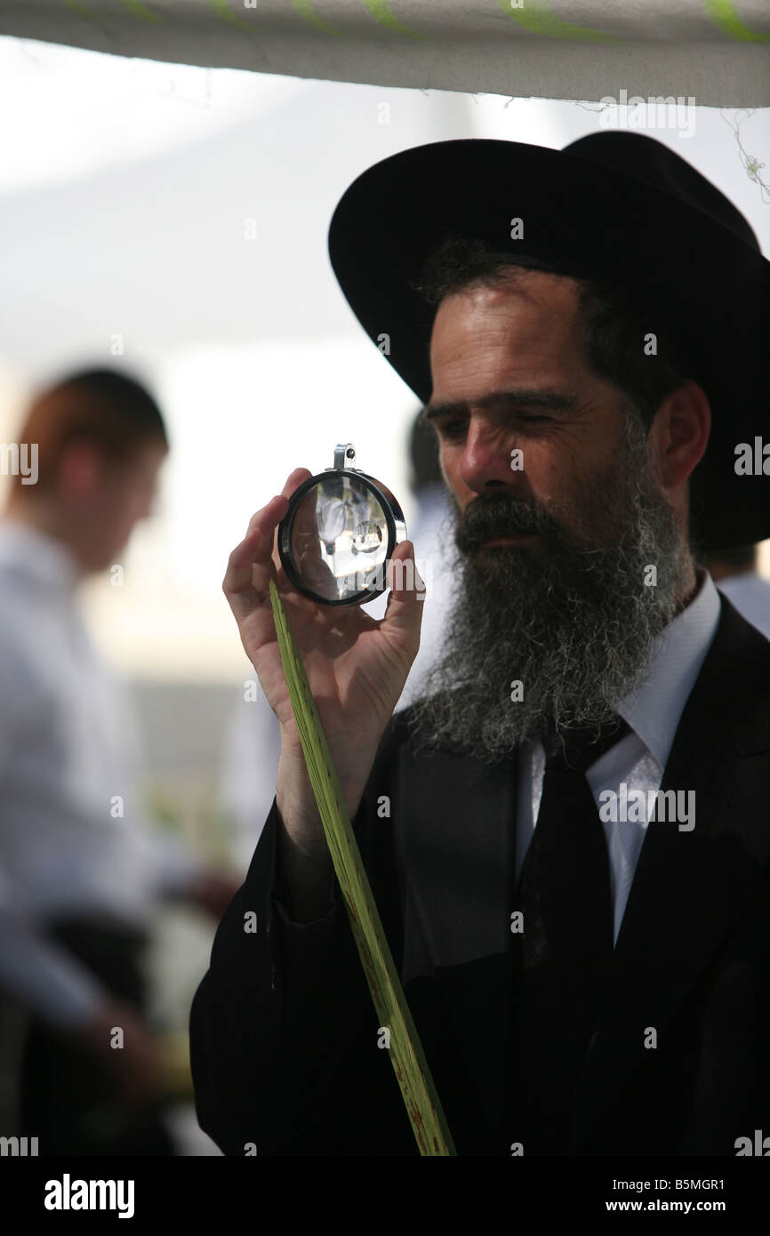 UltraOrthodox uomo ebraico test di un Lulav per Succot Foto Stock