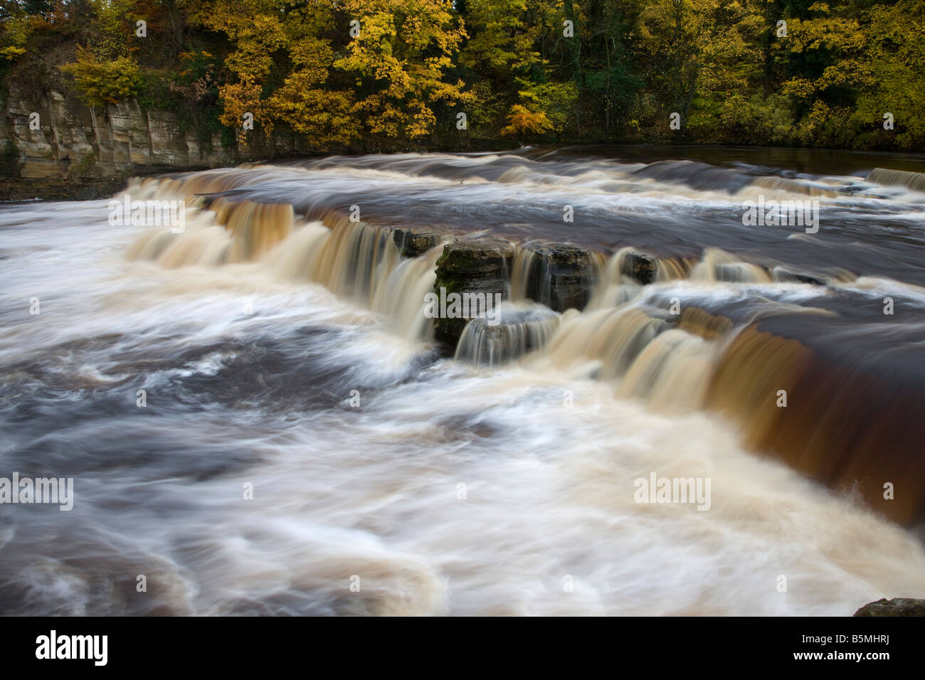 Cascate sul fiume Swale in autunno dopo heavy rain Richmond Yorkshire Foto Stock