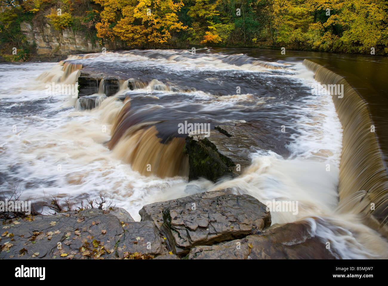 Cascate sul fiume Swale in autunno dopo heavy rain Richmond Yorkshire Foto Stock