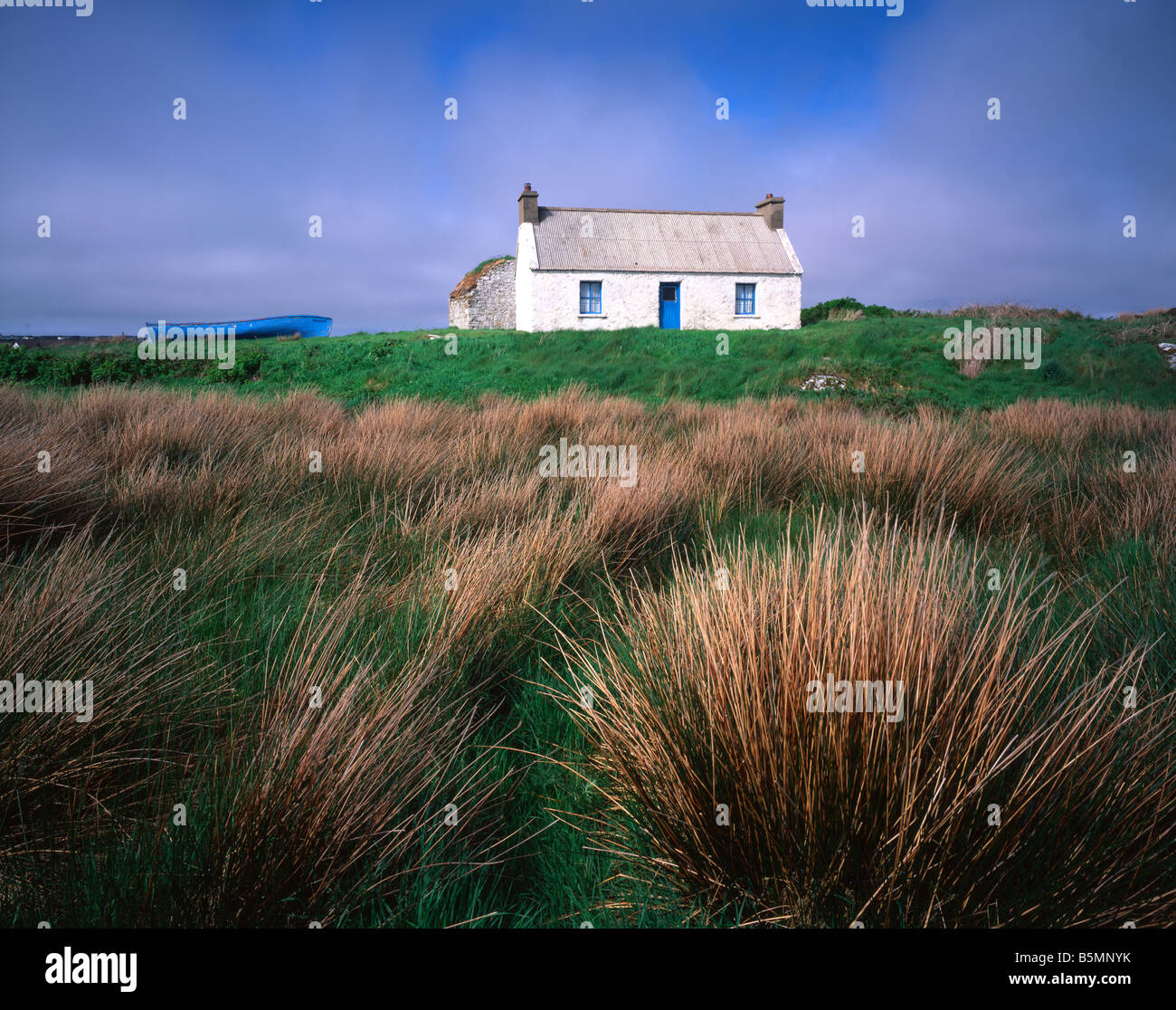 Cottage irlandese nella contea di Donegal in Irlanda, di Gary A Nelson/Dembinsky Photo Assoc Foto Stock