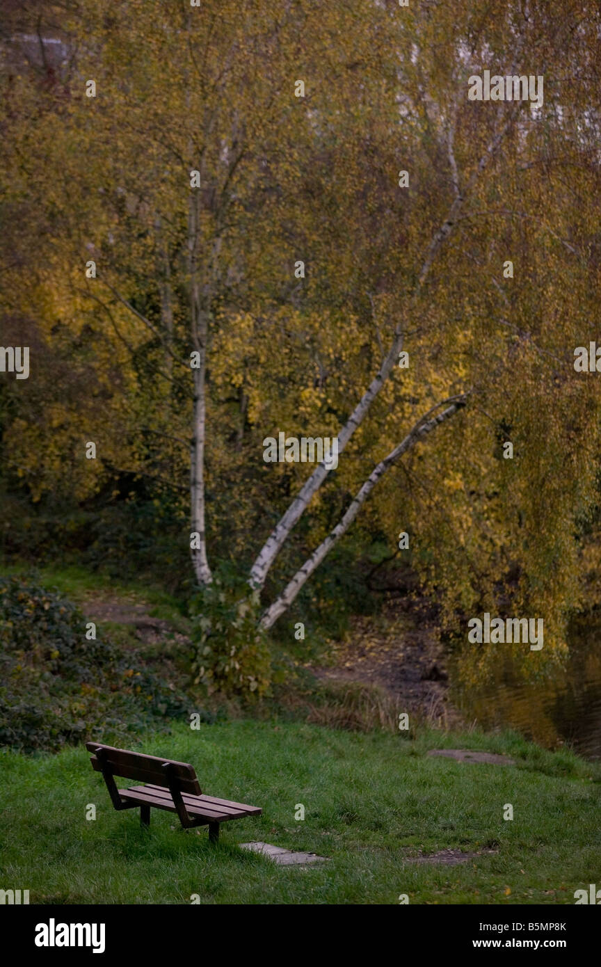 Una panchina nel parco su Hamstead Heath Foto Stock