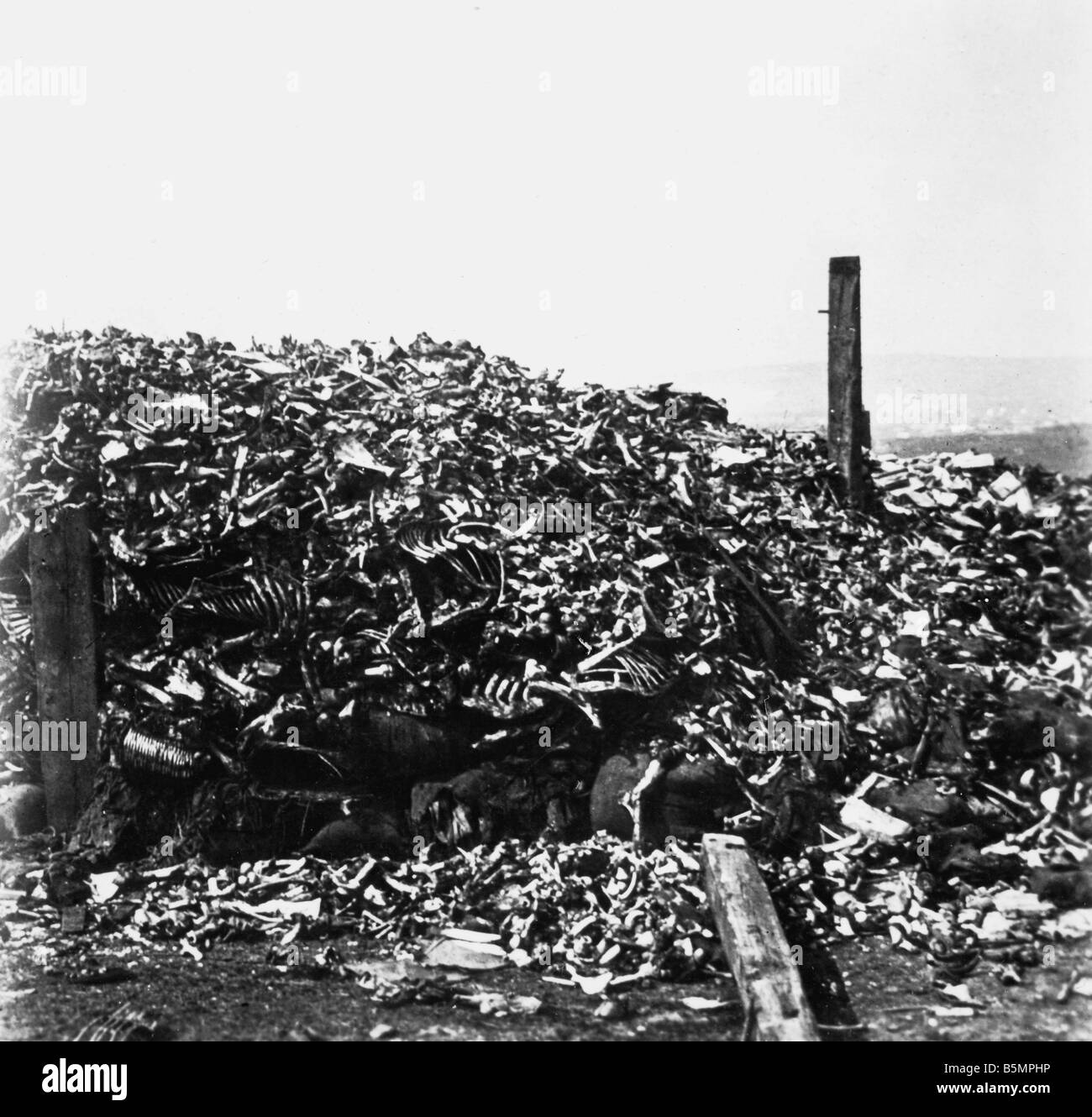 9 1916 10 24 A1 5 e Verdun ossa dei soldati caduti in guerra mondiale 1 1914 18 fronte occidentale battaglia di Verdun 1916 ossa dei caduti venduti Foto Stock