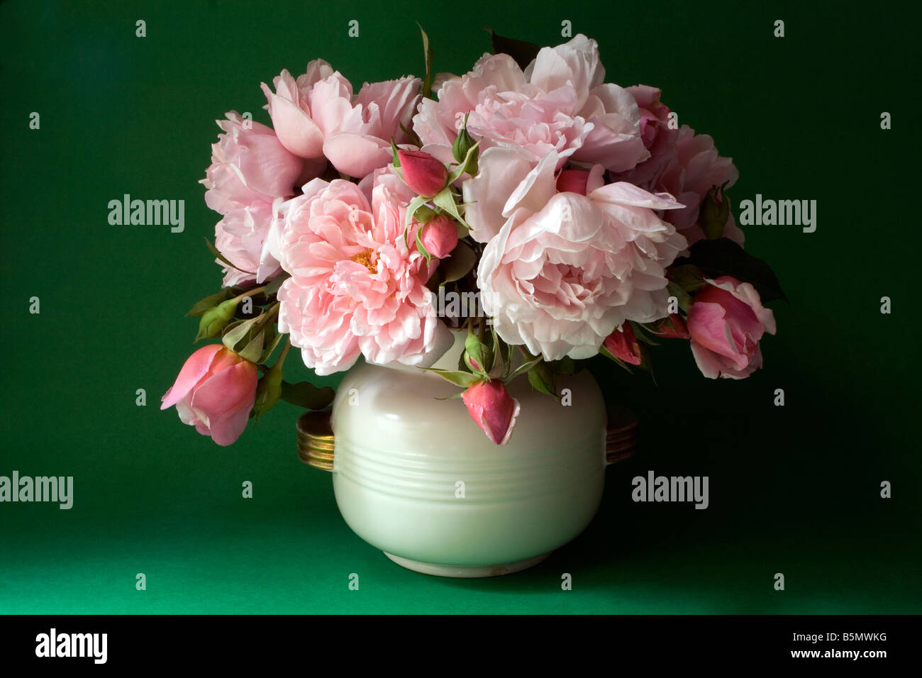 Un mazzo di rose rosa in una crema di colore vaso di ceramica, entrambe le gemme e piena di blumi, su uno sfondo verde. Foto Stock