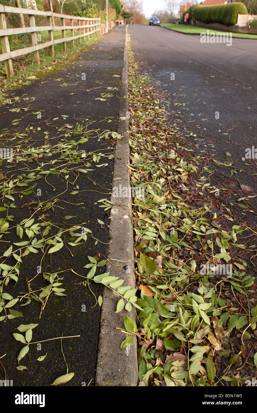 Foglie di autunno bloccare una strada di gronda di scarico di cordolo in residenziale città suburbane road nel Somerset REGNO UNITO Foto Stock