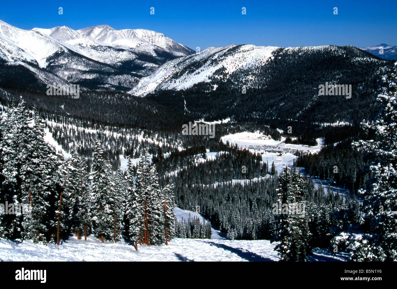 Area di base Sawatch gamma nel retro del monarca Area sci Colorado USA Foto Stock