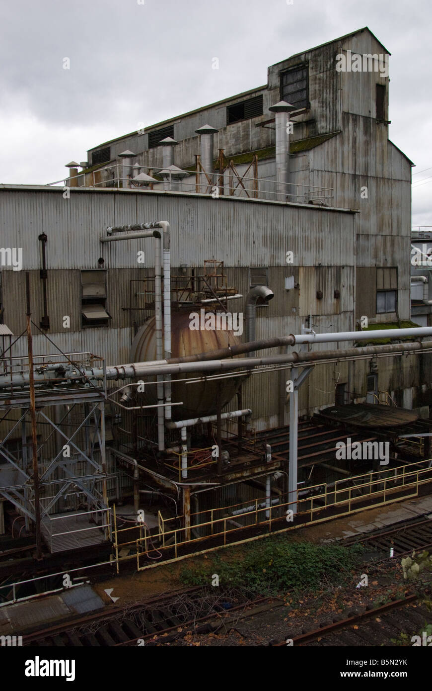 Airone cenerino Paper Company Foto Stock