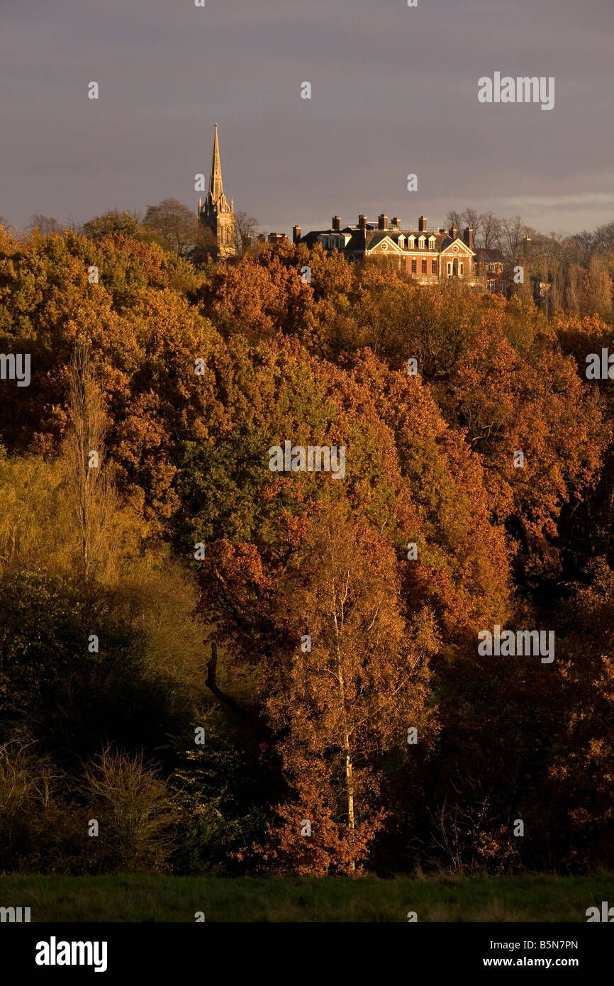 Highgate Chiesa visto da Hamstead Heath Foto Stock