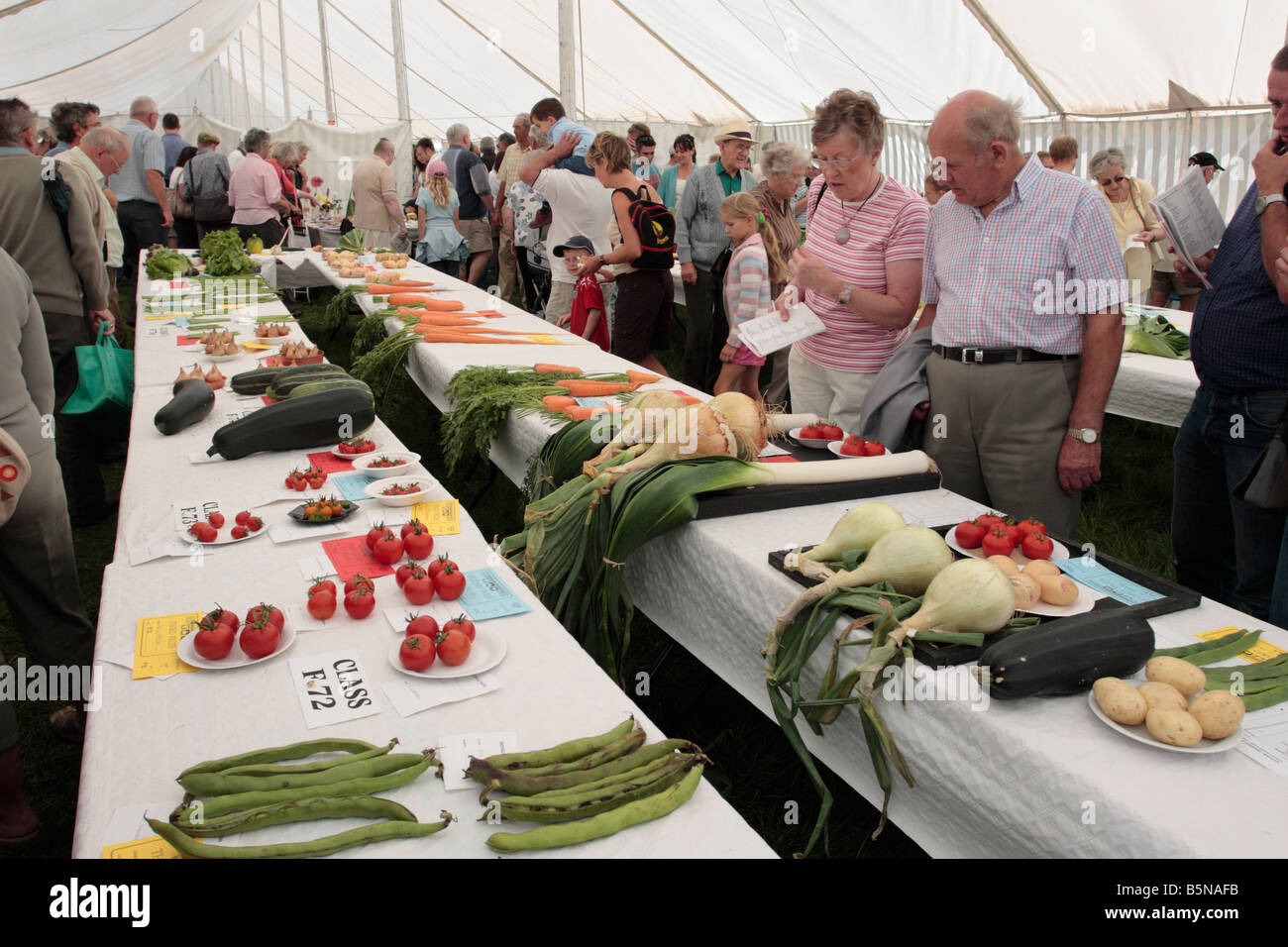 Vincitore del premio verdura alla Wensleydale mostrano nello Yorkshire, Inghilterra Foto Stock