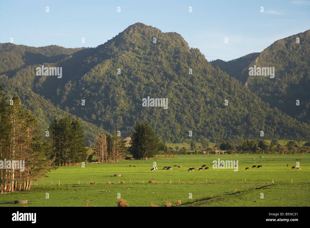 I terreni agricoli e Burnett gamma Aorere Valley Golden Bay Nelson regione Isola del Sud della Nuova Zelanda Foto Stock