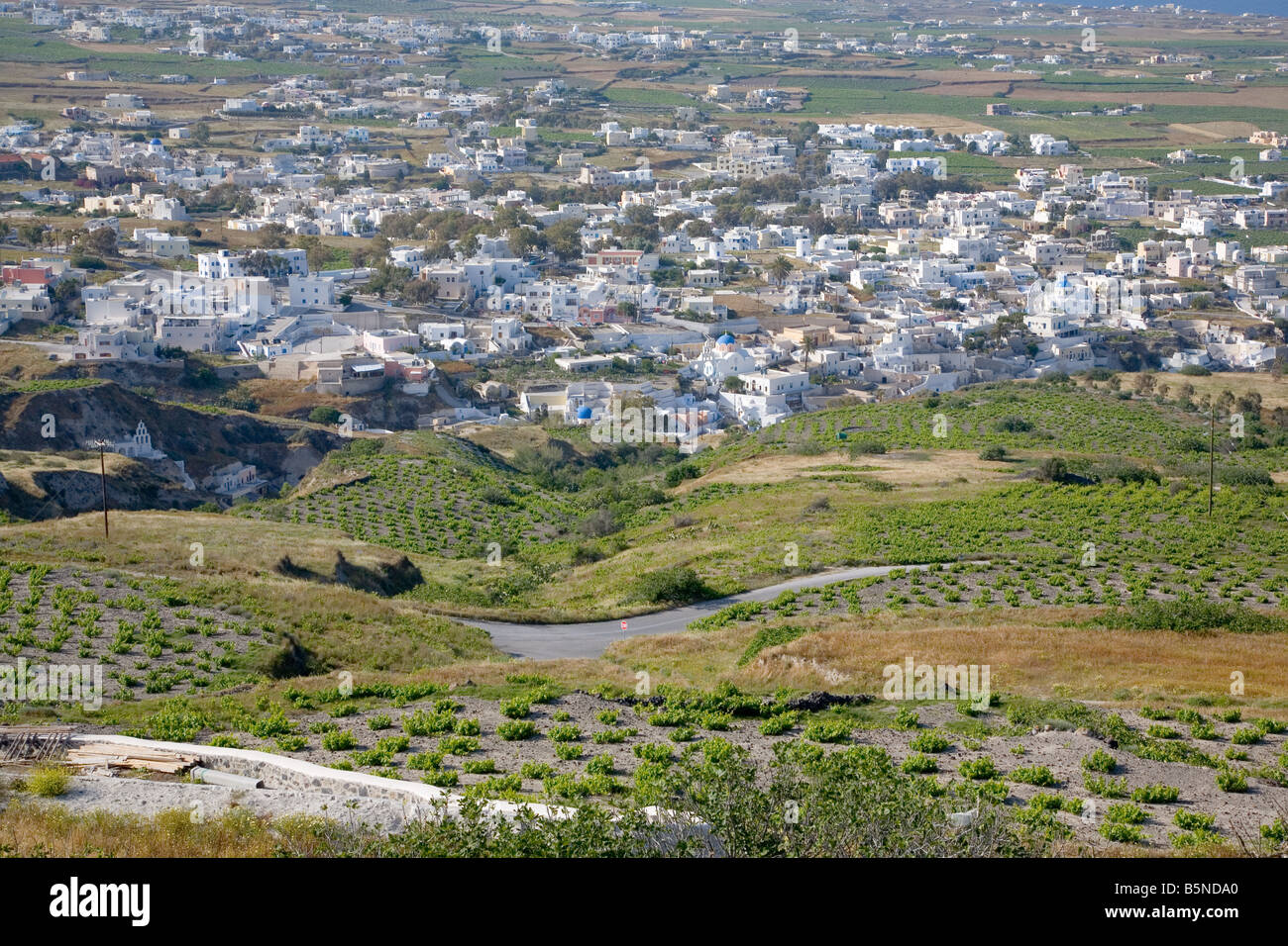 Vista sul verde dei vigneti verso Messaria village a Santorini, Grecia Foto Stock
