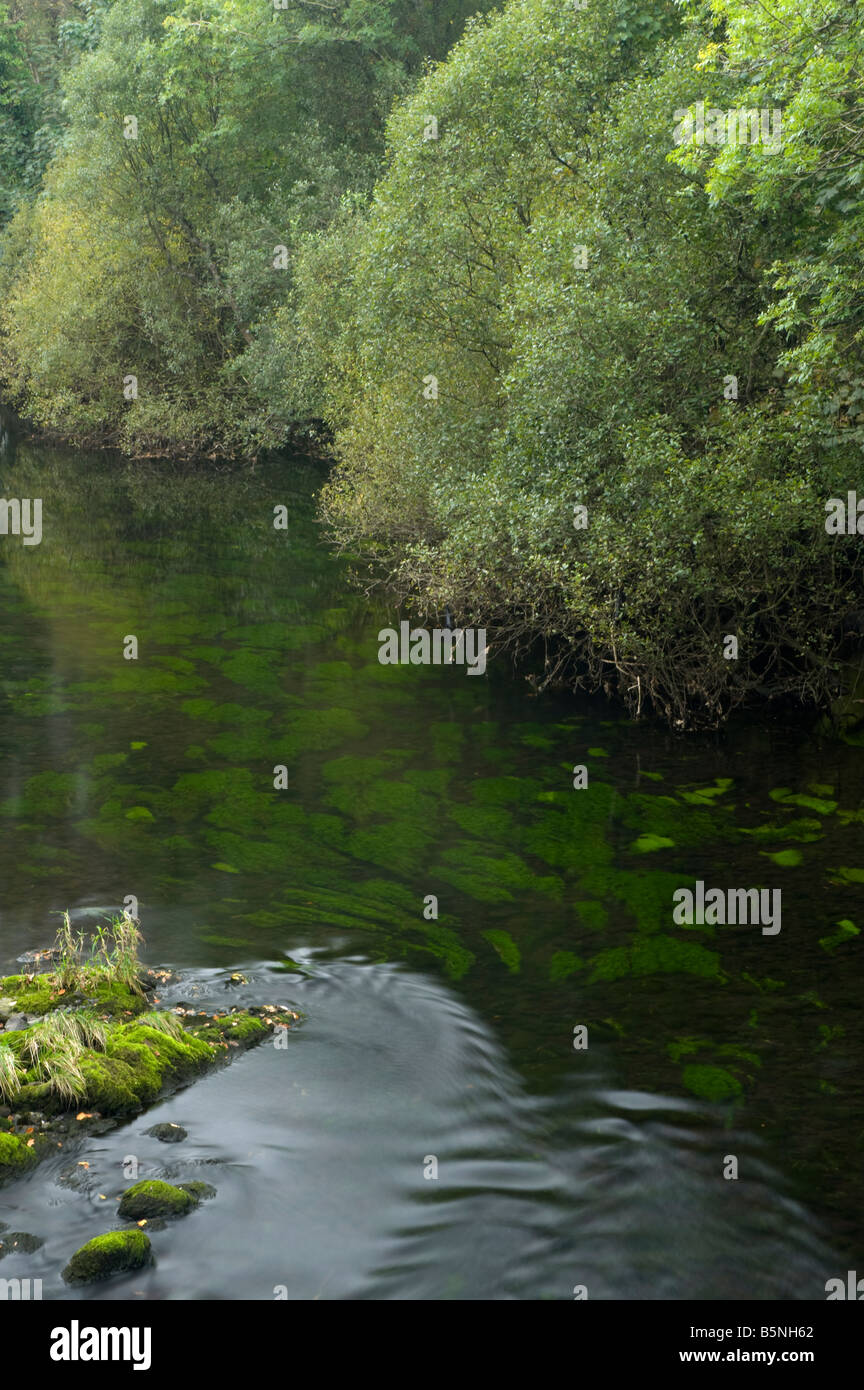 Fiume riflessioni a Clappersgate #2; uno studio in verde. Foto Stock