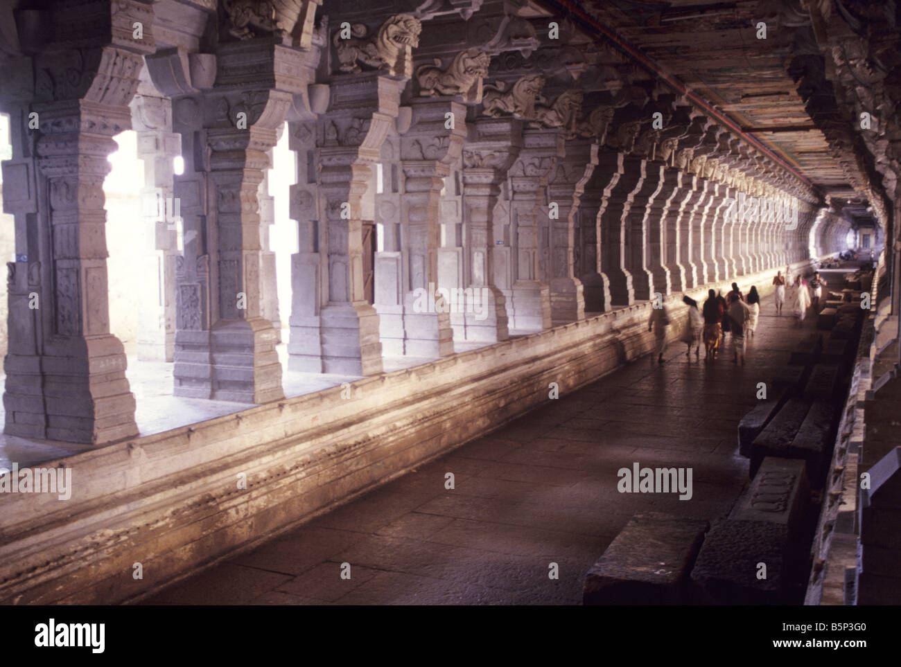 Più lungo il corridoio del tempio IN INDIA IN RAMANATHA SWAMY TEMPLE RAMESWARAM Foto Stock