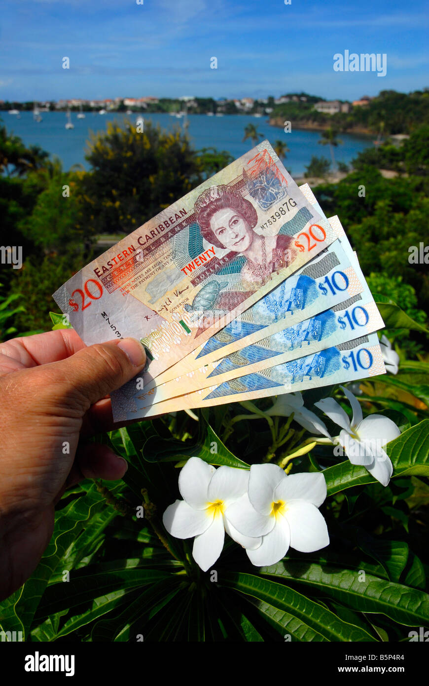 Dollari dei Caraibi orientali, Caraibi Orientali denaro Foto Stock