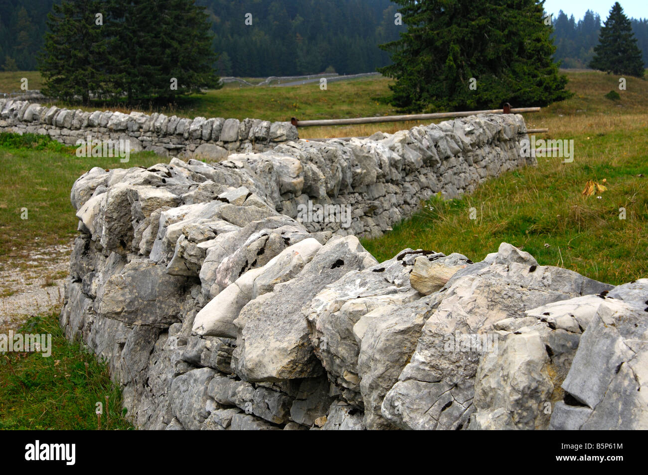 Asciugare la parete in pietra tradizionale scherma di pascolo nella regione del Giura, Col du Marchairuz, canton Vaud, Svizzera Foto Stock