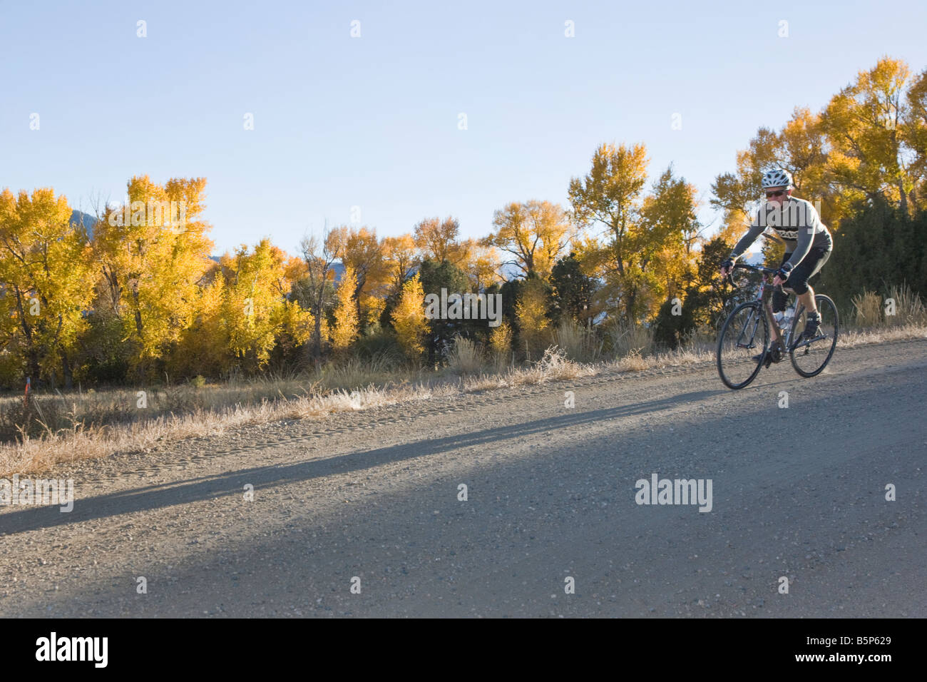 Ciclista maschio cavalcare giù un rurale strada di ghiaia nei pressi di salida, Colorado, STATI UNITI D'AMERICA Foto Stock