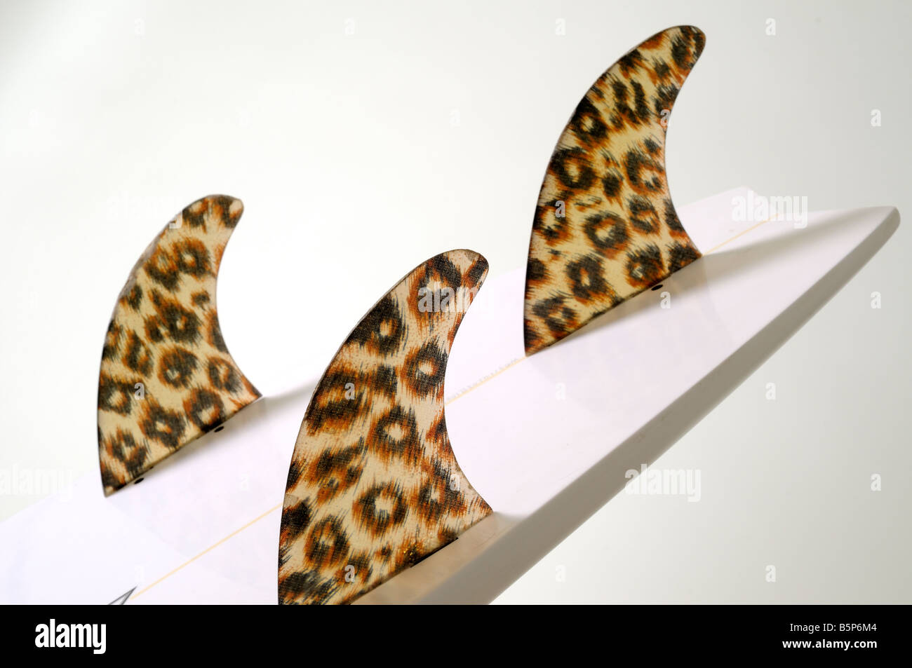 A pelle di leopardo alette di tavole da surf Foto Stock