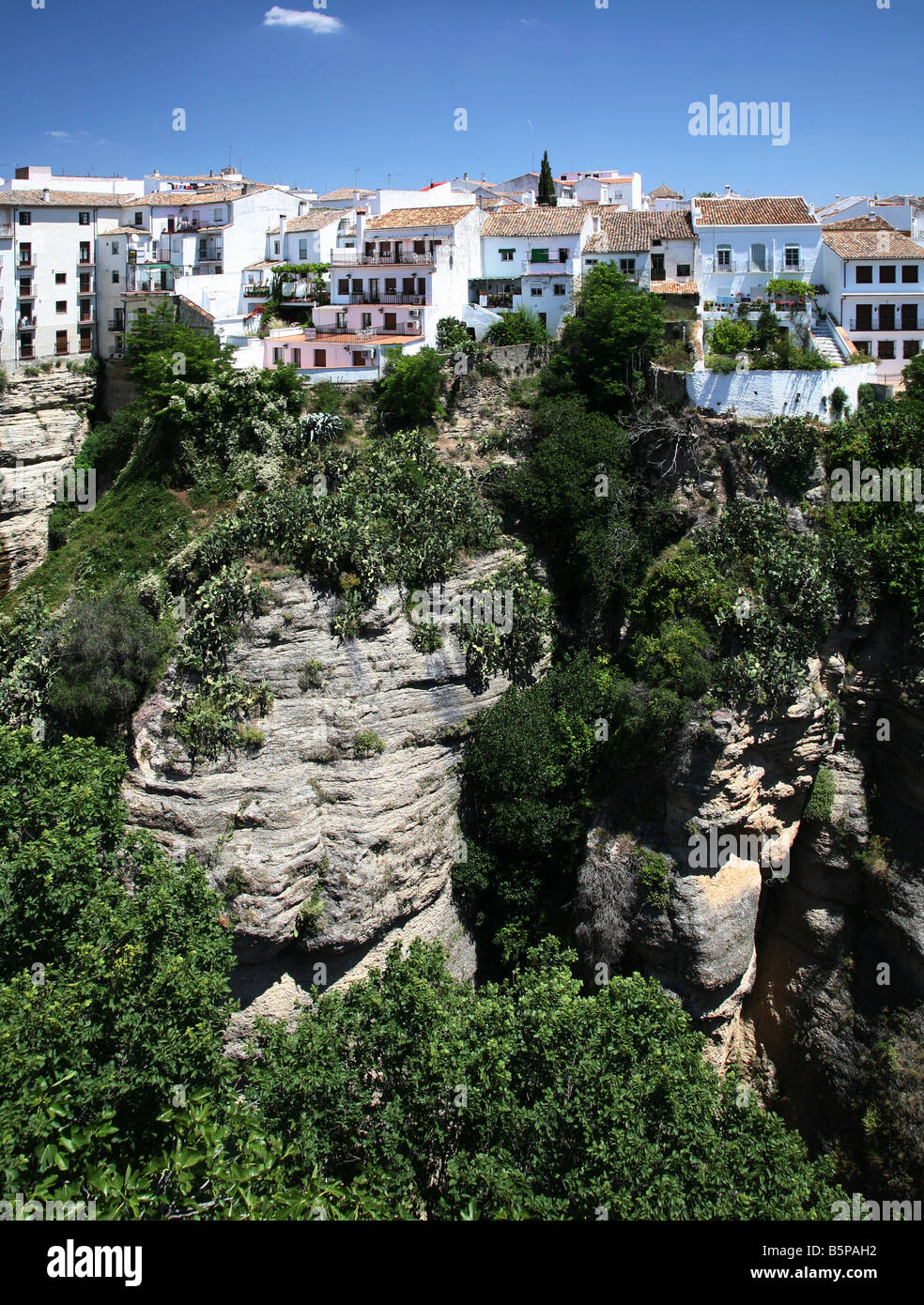 El Tajo Gorge, Ronda, Andalusia Spagna meridionale Foto Stock