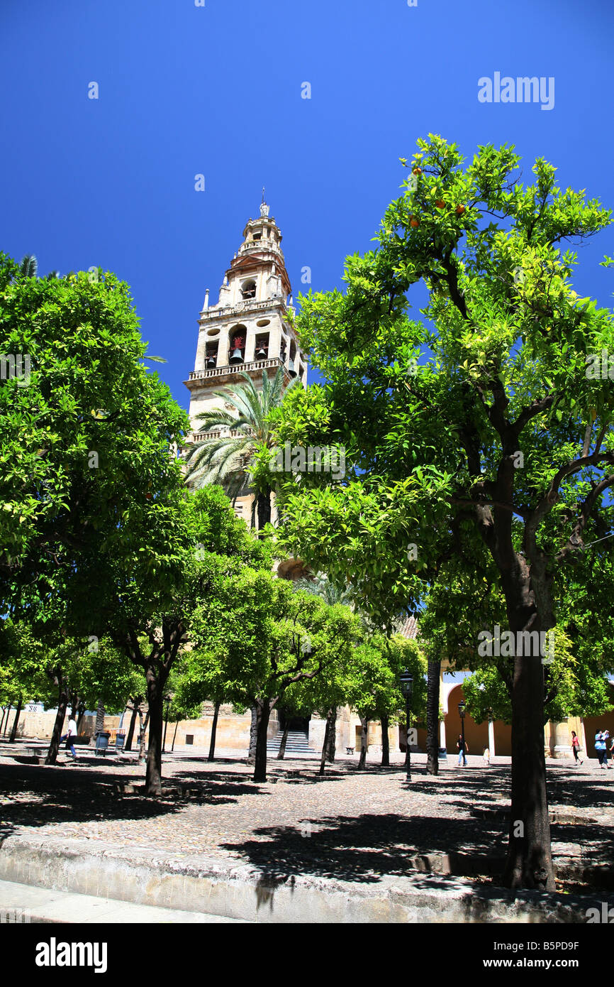 Torre del Alminar, Patio de los Naranjos, Mezquita, Cordoba, Andalusia Spagna meridionale. Foto Stock