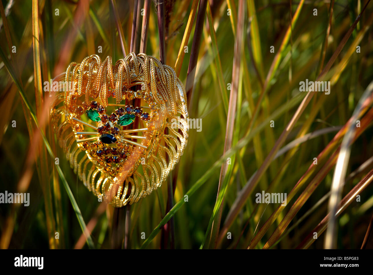 Un jeweled lion il volto e la criniera con gli occhi di smeraldo è circondato da alte erbe. Foto Stock