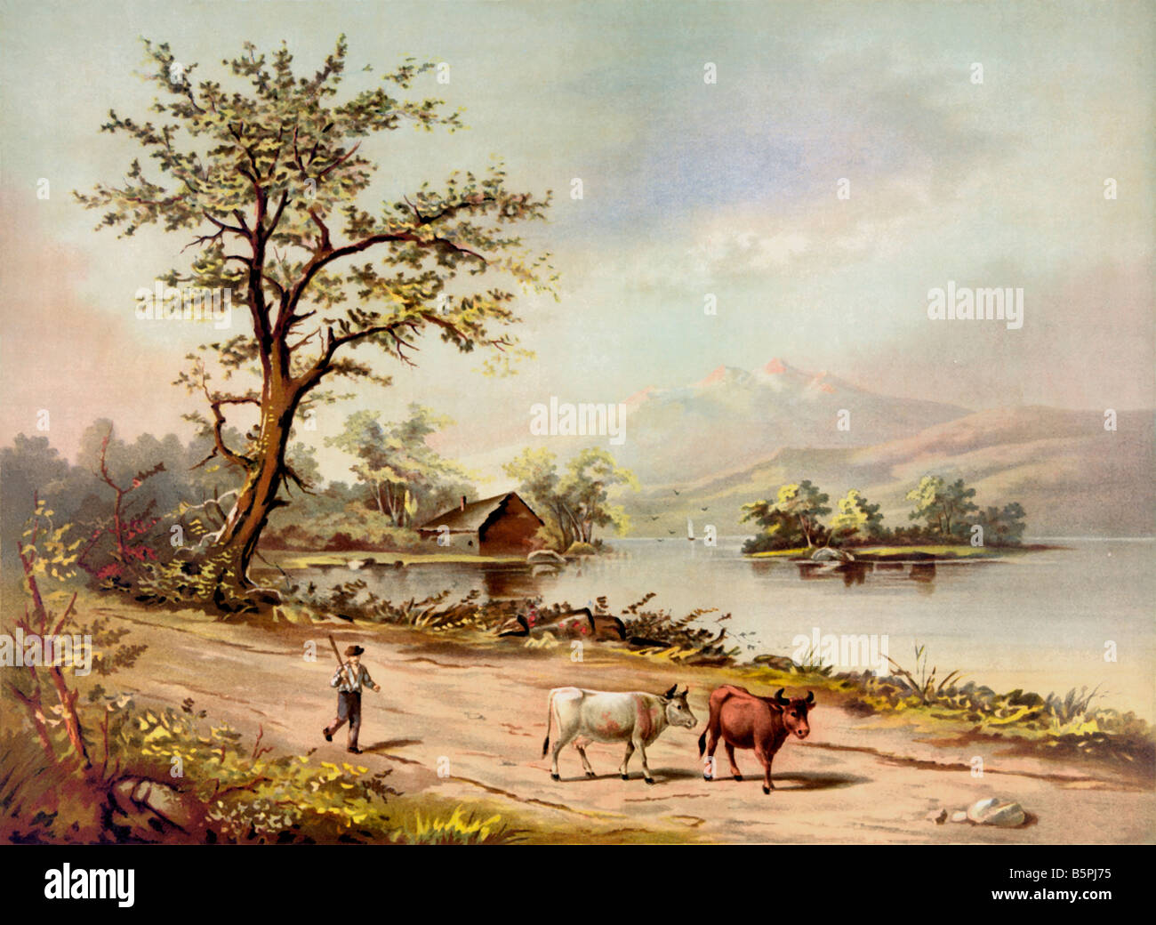 Flusso di campagna durante il periodo estivo 1891 Foto Stock