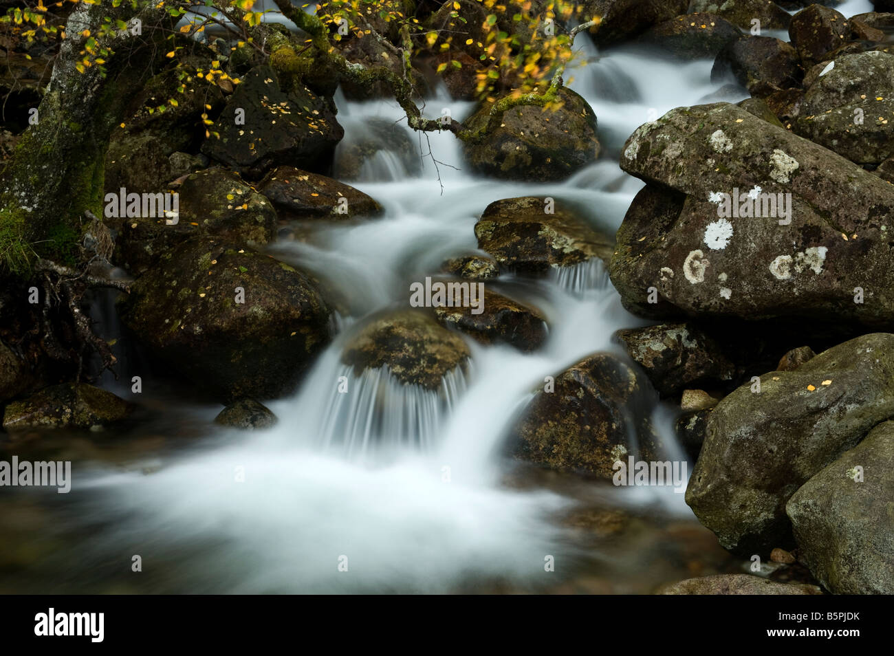 Cascata scozzese Foto Stock