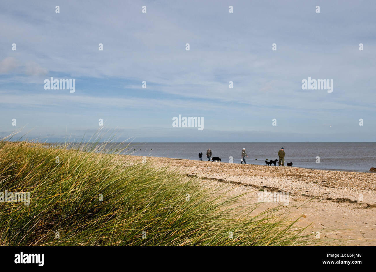 La gente camminare i loro cani sulla spiaggia di Leysdown sul mare e sull'Isola di Sheppey nel Kent. Foto Stock