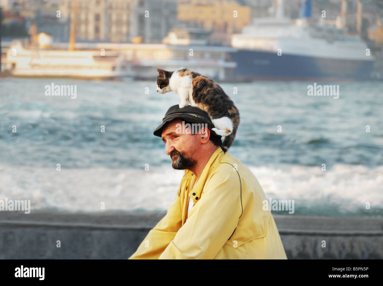 Uomo Bicicletta Equitazione con un gatto equilibrato sulla sua testa Foto Stock