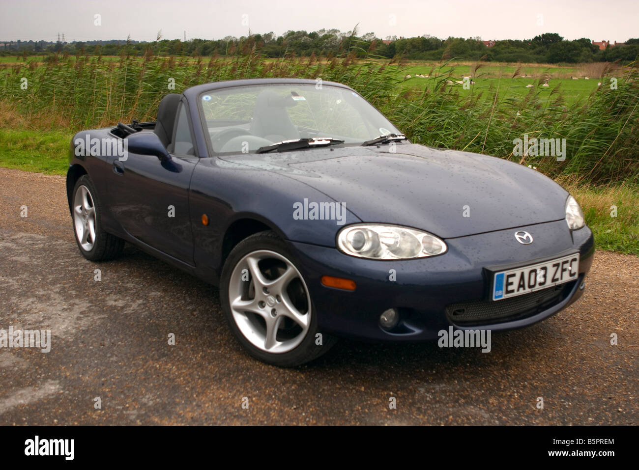 Mazda MX5 MK2.5 SVT Sport blu scuro auto. Immagine a colori Foto Stock