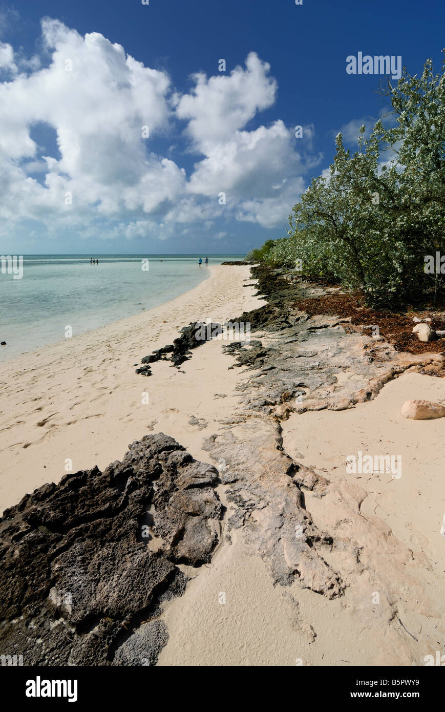 Rocce lungo la spiaggia a poco Staffili Cay, Bahamas - una delle isole di bacca - una raccolta di atolli e piccole isole. Foto Stock