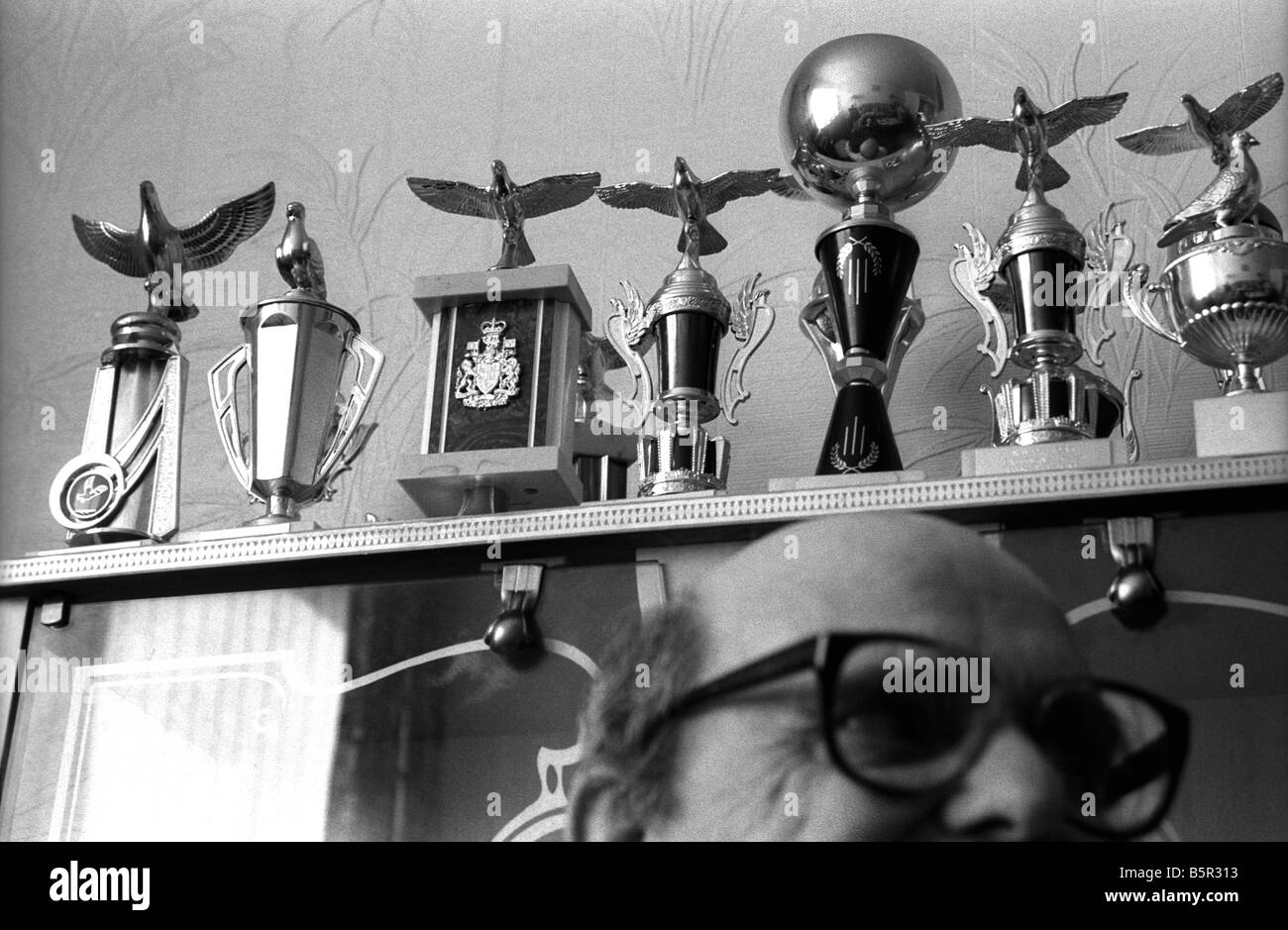 Pigeon corse nel Regno Unito. Sport di classe operaia Foto Stock