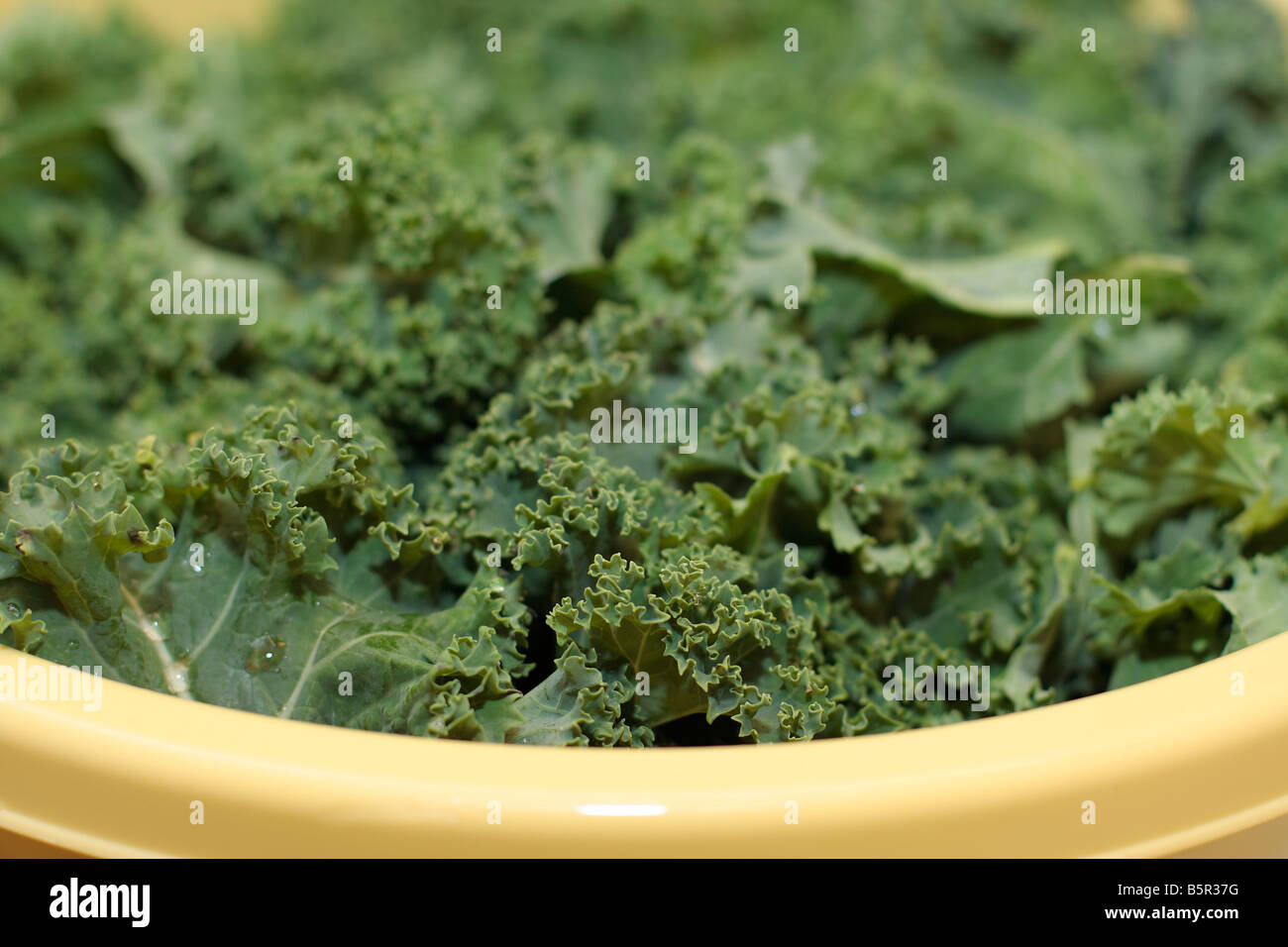 Kale Foto Stock