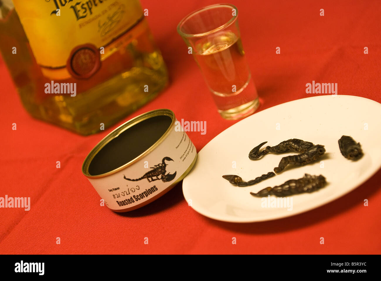 Arrosto di scorpioni e Tequila Foto Stock