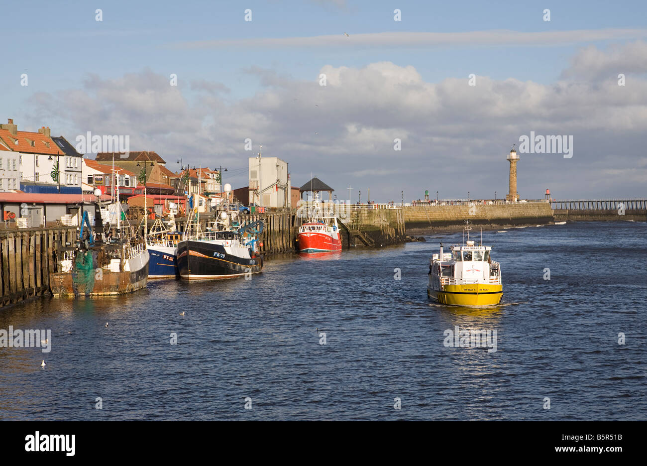 La reginetta Esk II entra nel porto di Whitby, passando per le navi da pesca ormeggiata lungo la banchina, nello Yorkshire, Inghilterra, Regno Unito Foto Stock