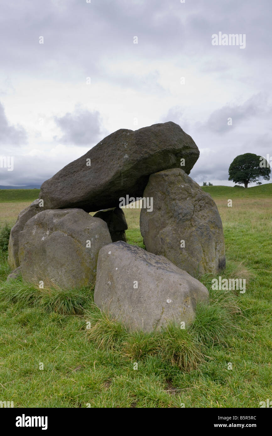 Dolmen tomba, Giant's Ring, Lagan Valley, Belfast, Irlanda del Nord Foto Stock