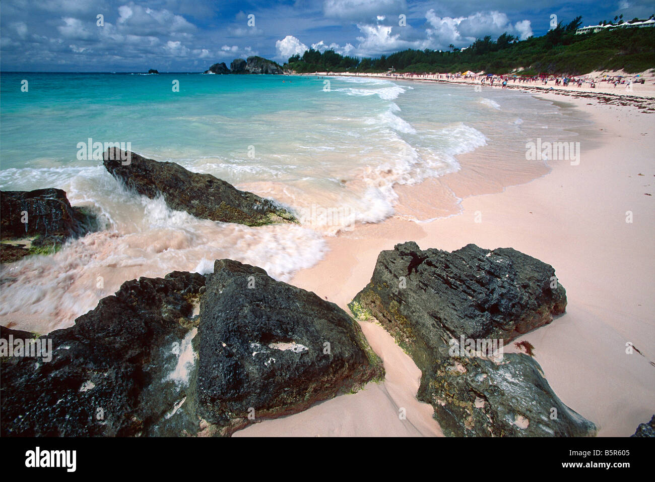 Vista di una rosa di spiaggia di sabbia della baia a ferro di cavallo Bermuda Foto Stock