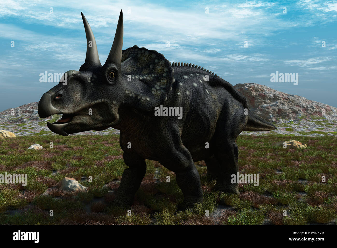 Computer immagine generata di un dinosauro Diceratops Foto Stock