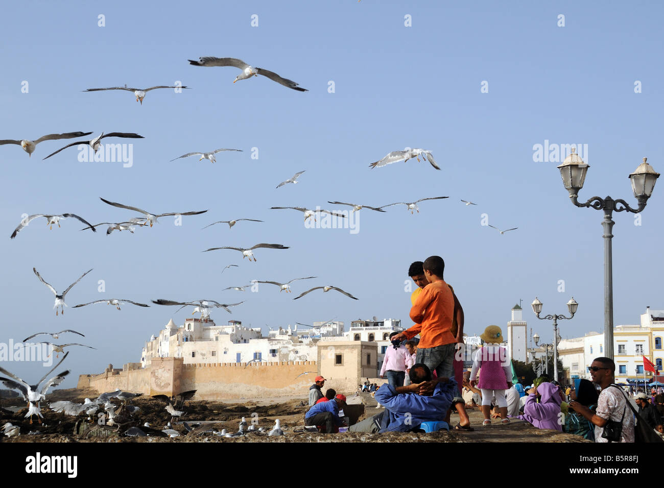 I gabbiani sorvolano la città vecchia e la Medina di Essaouira Marocco Foto Stock