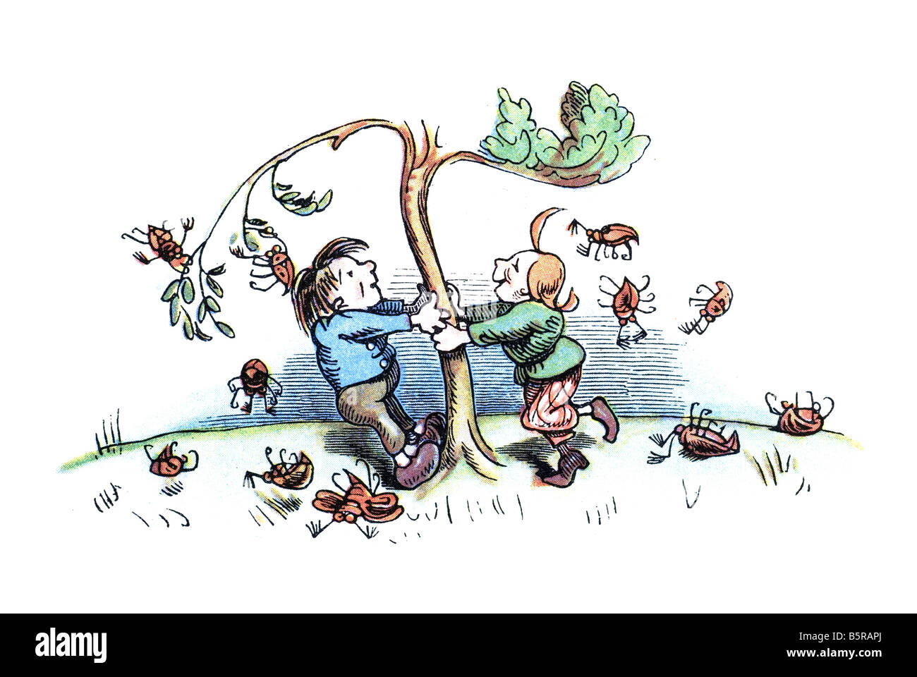 Max e Moritz scuotimento può beetle da albero, Max e Moritz una storia di sette fanciullesco scherzi Heinrich Christian Wilhelm Busch 1865 Foto Stock