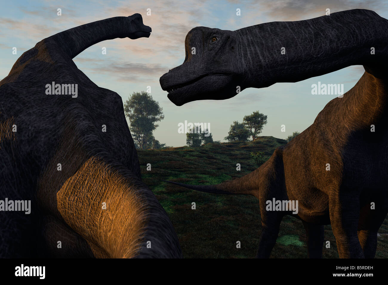 Computer immagine generata del dinosauro Brachiosaurus Foto Stock