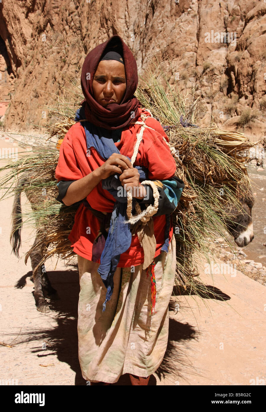 Il nomade donna berbera con asino in Montagne Atlas Marocco Foto Stock