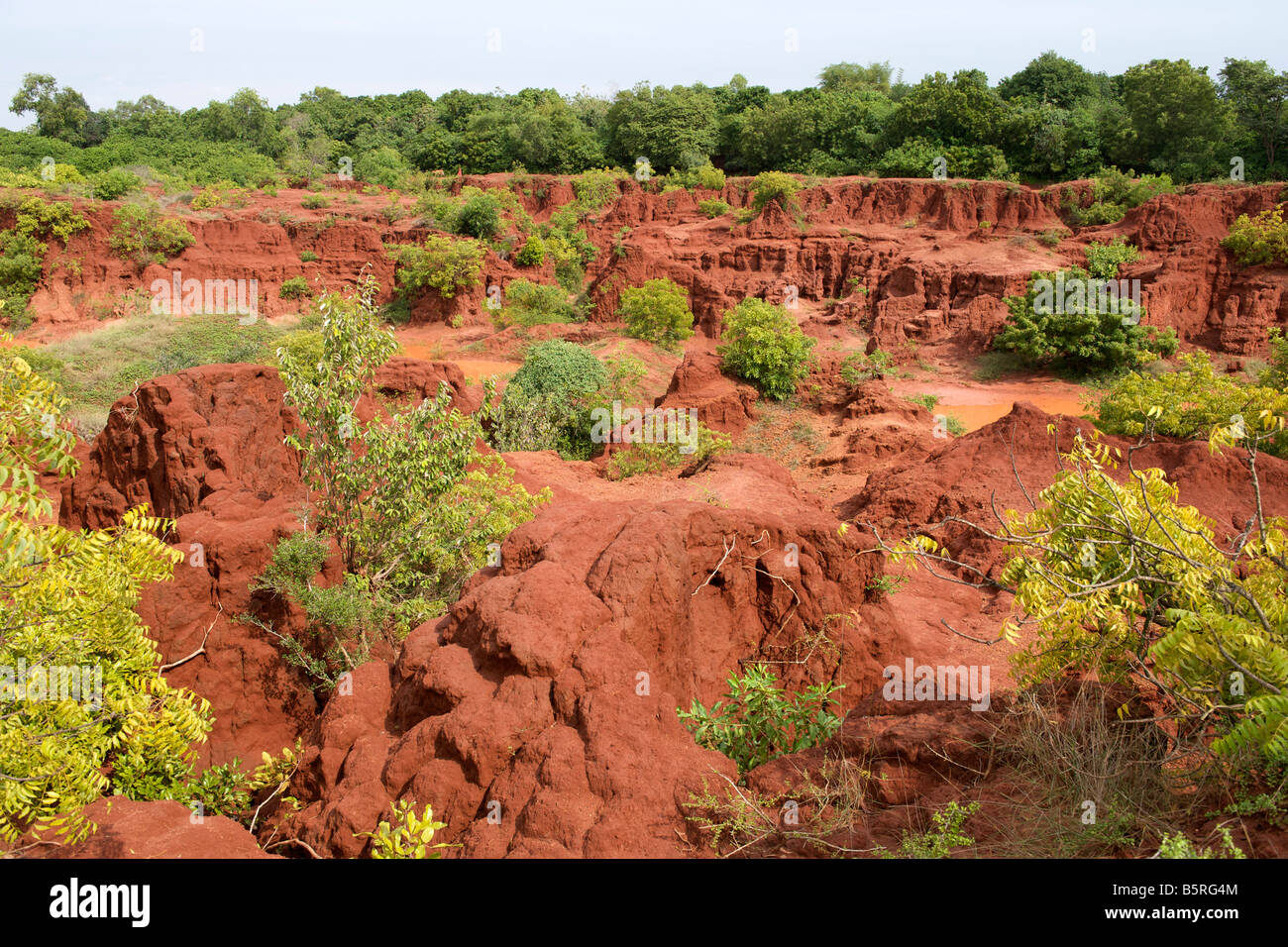 Le colline rosse (bombiapallyam) sulla periferia di Pondicherry India. Foto Stock