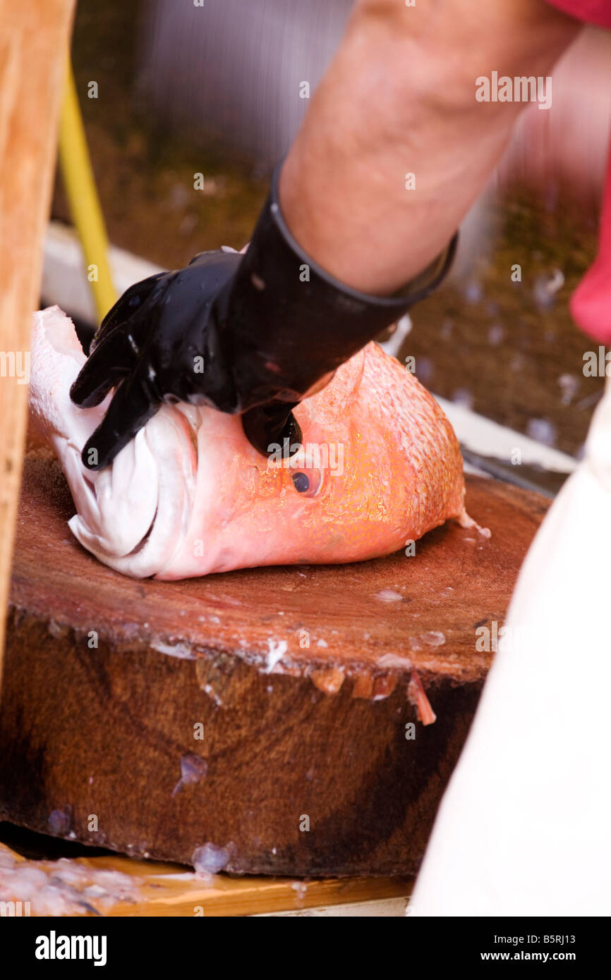 Close up uomo trinciatura di testa di pesce Foto Stock