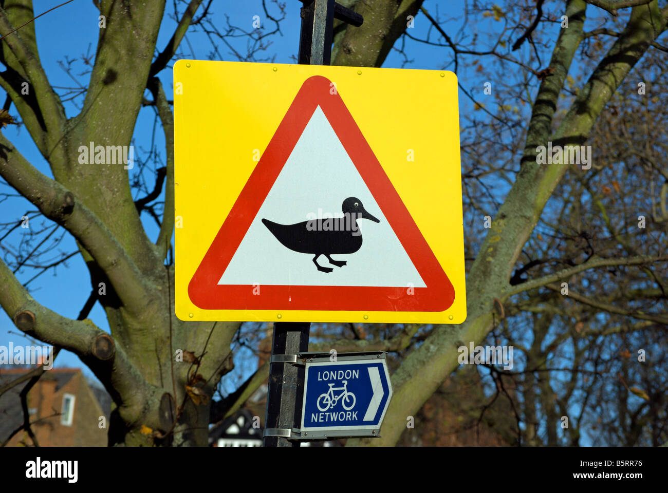 Il traffico britannico segno di avvertimento di anatre sulla strada, con una rete di Londra ciclismo firmare a kew green, a sud-ovest di Londra - Inghilterra Foto Stock