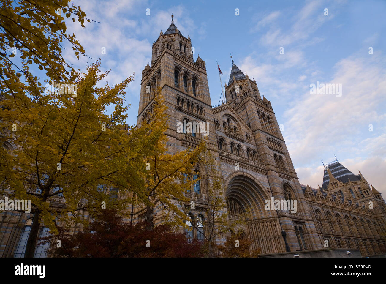 Museo di Storia Naturale di Londra Foto Stock